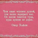 ���� ����, ��������� - ��������� 31 ������� 2016 � ������ ���� ����������