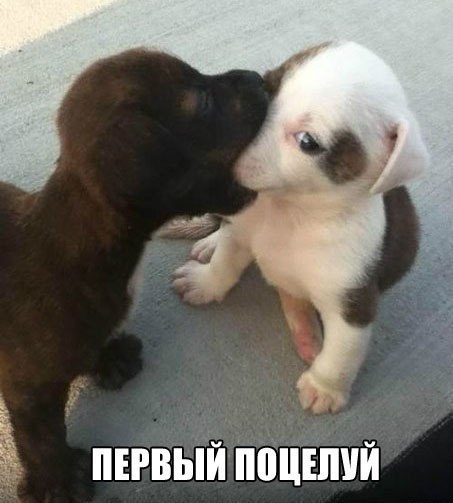 )))