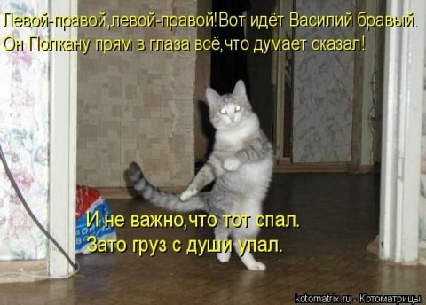 ��� ���� - 20 ������� 2016 � 22:30