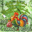 ���� ��������, �����-���������, 45 ��� - ��������� 30 ������� 2016 � ������ ������ ��������