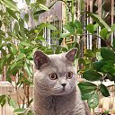 ���� �������, ������ - ��������� 22 ������� 2016 � ������ ���� ����������