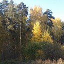 ���� Vladimir, ������������, 67 ��� - ��������� 28 �������� 2016 � ������ ������ ��������