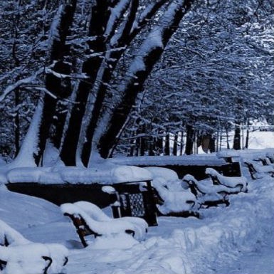   :).   :1.   5   .2.    . ... - 5