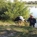 ���� Sergey, ����, 60 ��� - ��������� 3 ������� 2016