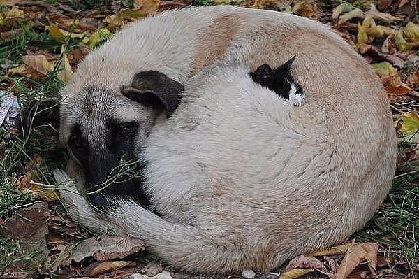 У каждого должно быть место, где он чувствует себя в безопасности