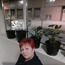 ���� �����, �����-���������, 53 ���� - ��������� 19 ������� 2016 � ������ ���