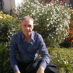 , 56, 