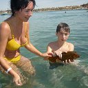 ���� ���, ���������� - ��������� 18 ����� 2017 � ������ ������� 2013�