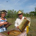 ���� 2016 �� ������� ���� ����������