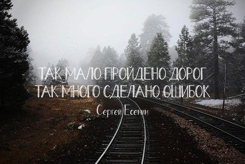 LIFE -  - 6  2016  01:33