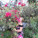 ���� ���������, �����-��������� - ��������� 10 ������� 2016 � ������ ������, ������� 2016�