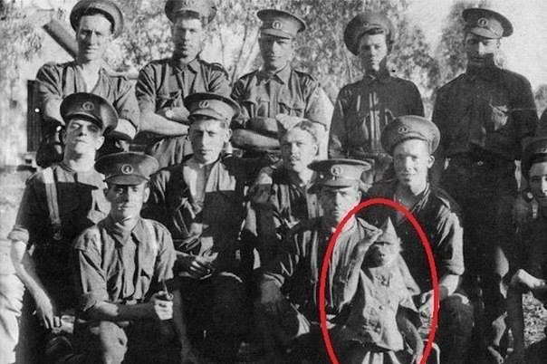 В 1915 году, в разгар Первой мировой войны, Альберт Марр присягнул на верность Британии. Отправляясь ...