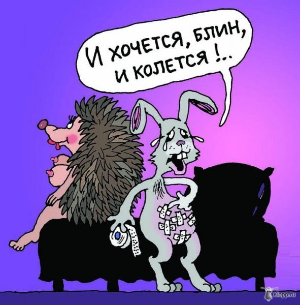 ����� ������ - 8 ������� 2016 � 16:33