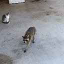 ���� ������, �������� - ��������� 5 ����� 2017 � ������ ������