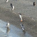 ��������� ������� �� ������� ���� ����������