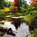 ���� ���������, ������, 69 ��� - ��������� 21 �������� 2016 � ������ �������