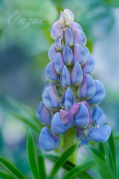   - 14  2016  15:24 - 3