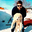 ���� ����, ������, 42 ���� - ��������� 2 ������ 2017