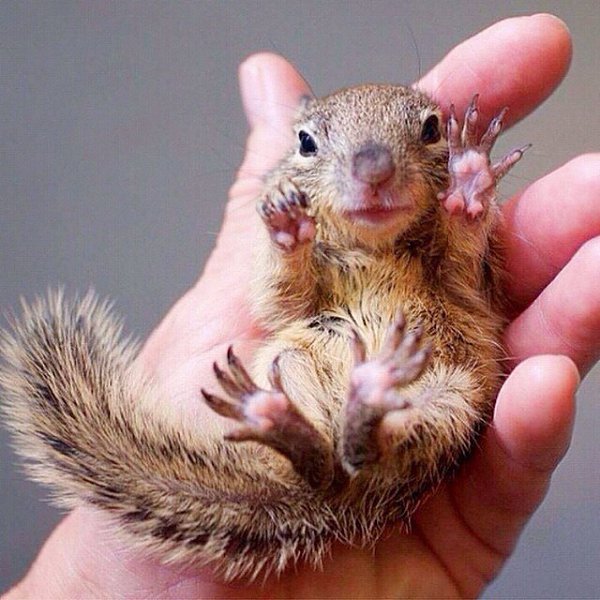 ���� �����. - 6