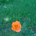 ���� �����, ������ - ��������� 25 ������� 2017 � ������ ���� ������