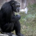 ���� �����., ������ - ��������� 31 ������� 2016 � ������ ������ ��������