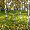 ���� ��������, ������, 55 ��� - ��������� 2 ������� 2016 � ������ ��������