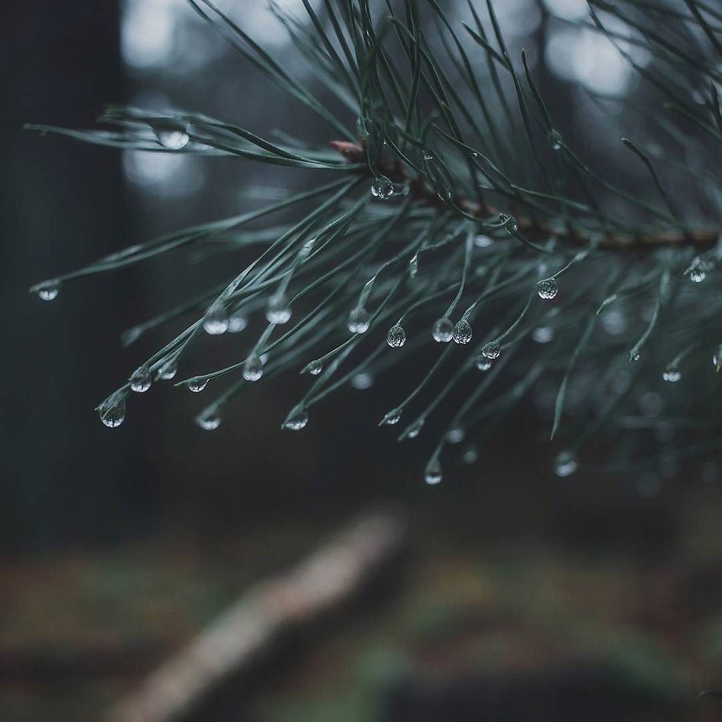  ! - 20  2017  17:42 - 4