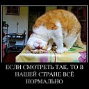 ���� ����, �����-���������, 46 ��� - ��������� 15 ������ 2016 � ������ �:)�