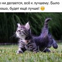 ���� �����, ���� - ��������� 26 ����� 2017 � ������ ���� ����������