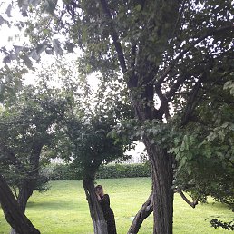 �����, ���������, 62 ����