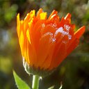 ���� �����, �����, 64 ���� - ��������� 22 ������� 2016 � ������ ������� ���������