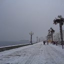  , , 60  -  3  2017     ,28.01.17.