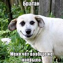 ���� ������, ������ - ��������� 5 ������� 2016 � ������ ��������