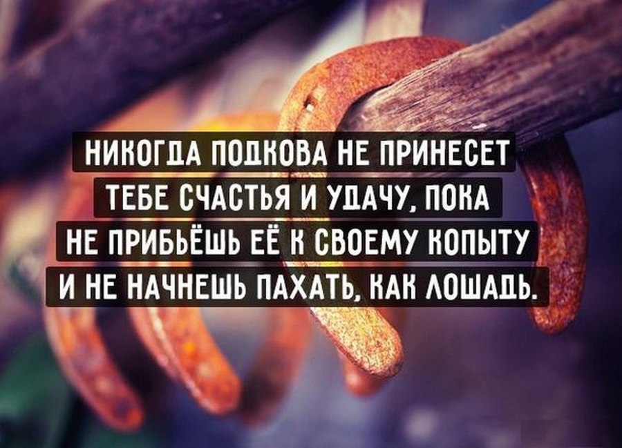   - 16  2016  15:01