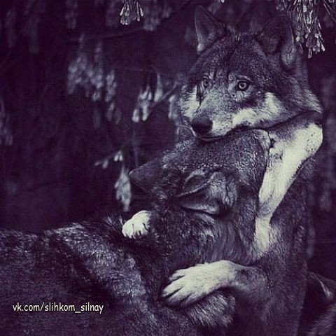 ���� ������� �� ������� ���� ������� ������� ���� ��������� ������