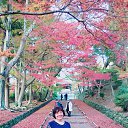 ���� �������, ����, 62 ���� - ��������� 22 ������ 2016 � ������ ���� ����������