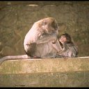 ���� ������, �������� - ��������� 8 ������� 2017 � ������ �������