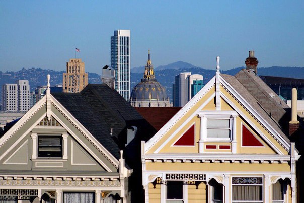    -     Painted Ladies