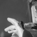 ���� �������, ����������, 40 ��� - ��������� 30 ������ 2017 � ������ ���� ����������