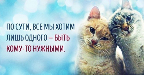 ��� ���� � ����� �� �� - 28 ����� 2017 � 11:26