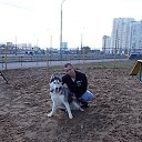 ���� ����, ������, 41 ��� - ��������� 24 ����� 2017