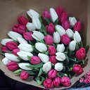 ���� �������, ������ - ��������� 7 ����� 2017 � ������ ������ ��������