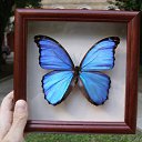  Lubomir_ss,  -  6  2017    