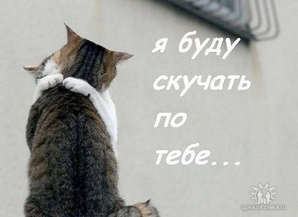 Я буду той, которую нельзя забыть Я буду той, которую нельзя не помнить И шлейф духов, и бус тугую ...