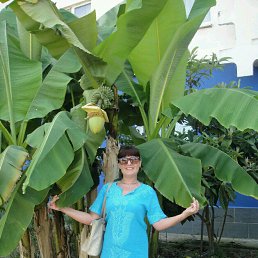 I, �������, 53 ����