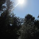 ���� �����, �������, 59 ��� - ��������� 19 �������� 2016 � ������ ���������� �������