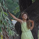 ���� ���, ����, 51 ��� - ��������� 26 ������� 2017 � ������ ���� ����������