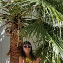 ���� �����, ������ - ��������� 28 �������� 2016 � ������ ��������