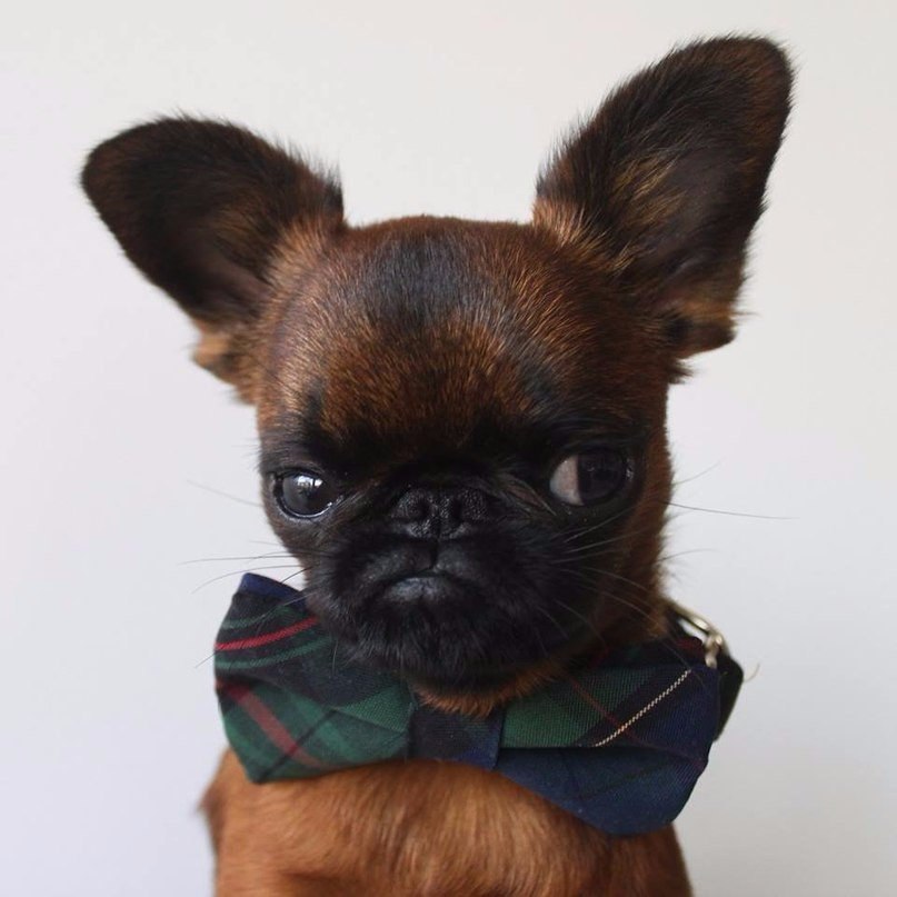 ��������� ������. - 5