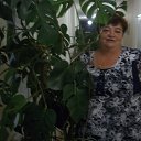 ���� �������, �����, 73 ���� - ��������� 23 ������ 2016 � ������ ���� ����������